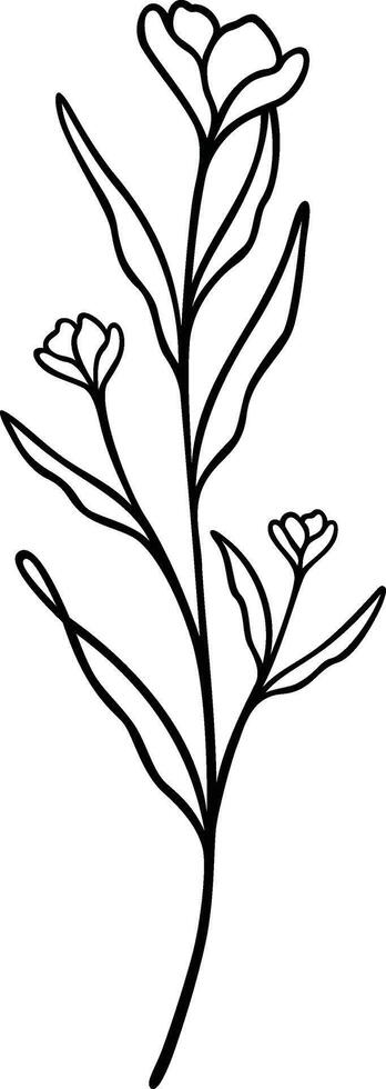 blommig linje konst, botanisk blomma vektor illustration