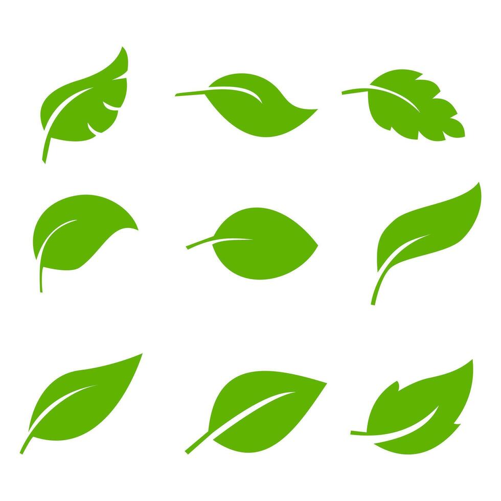 blad design ikon. grön blad växt vektor