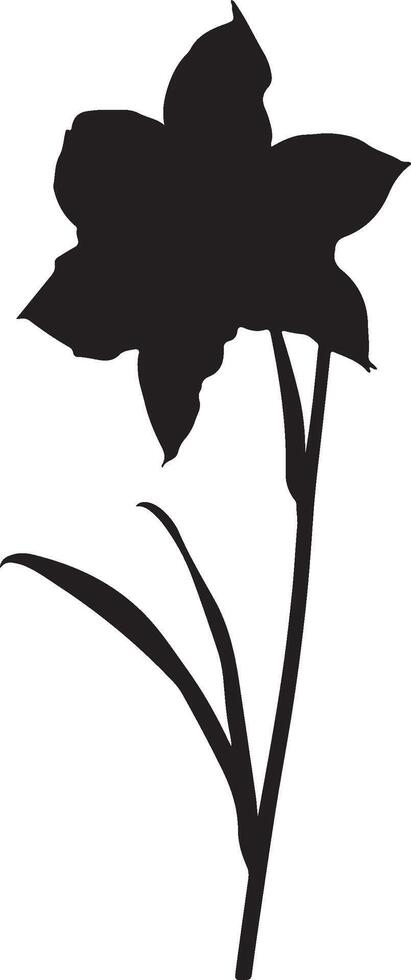 Narzisse Blume Silhouette Vektor Illustration Weiß Hintergrund