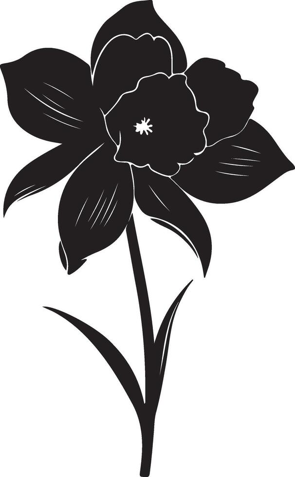 Narzisse Blume Silhouette Vektor Illustration Weiß Hintergrund