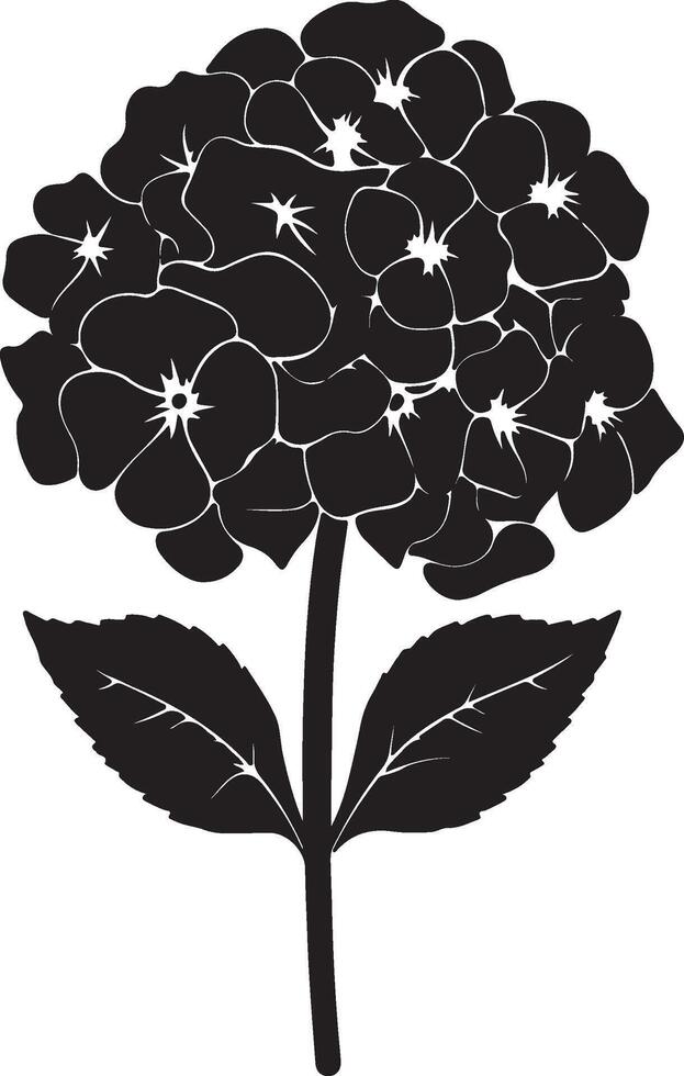 Hortensie Blume Silhouette Vektor Illustration Weiß Hintergrund