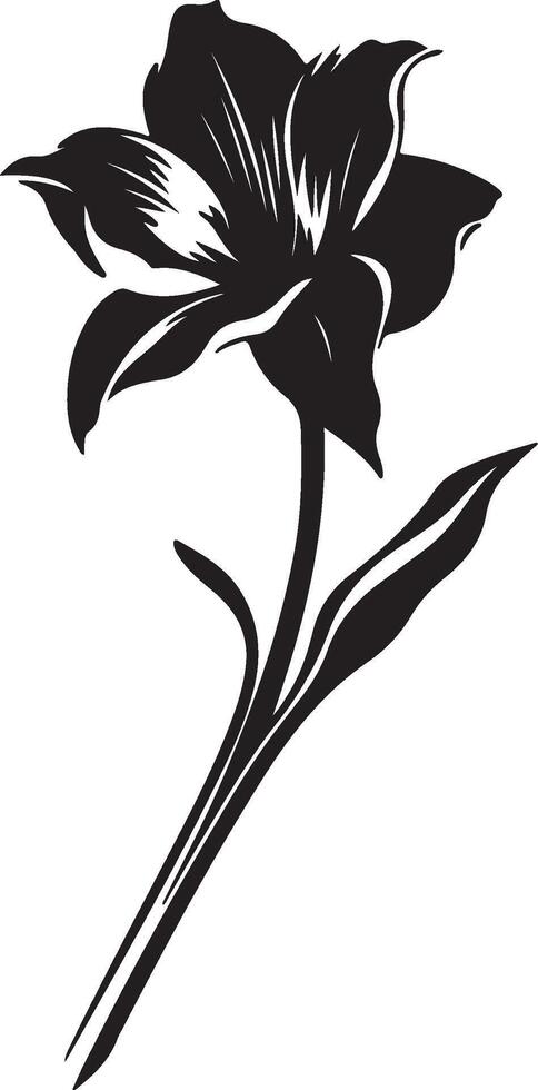 Narzisse Blume Silhouette Vektor Illustration Weiß Hintergrund