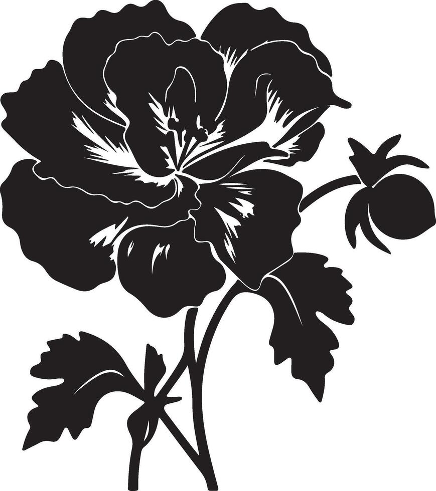 Begonie Blume Silhouette Vektor Illustration Weiß Hintergrund