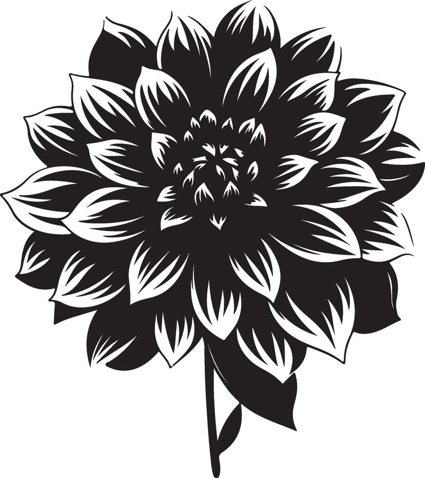 dahlia blomma silhuett vektor illustration vit bakgrund