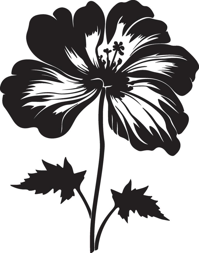 Begonie Blume Silhouette Vektor Illustration Weiß Hintergrund