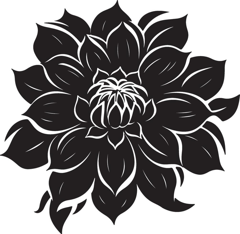 dahlia blomma silhuett vektor illustration vit bakgrund