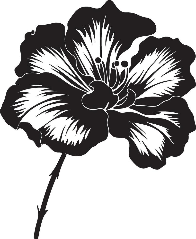 Begonie Blume Silhouette Vektor Illustration Weiß Hintergrund