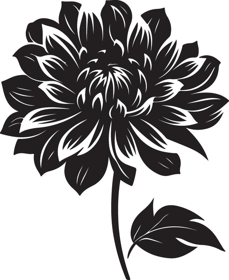 dahlia blomma silhuett vektor illustration vit bakgrund