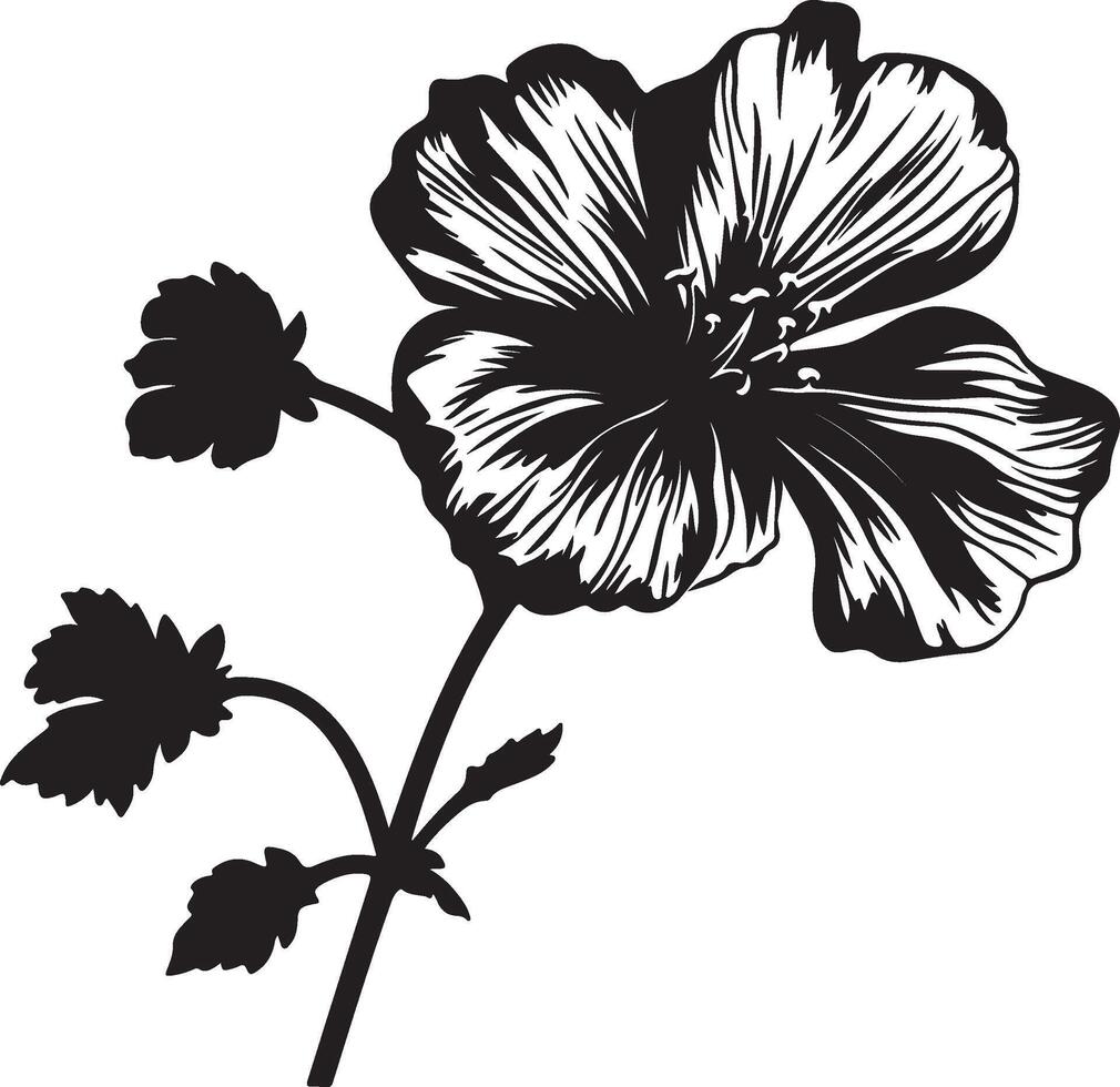 Geranie Blume Silhouette Vektor Illustration Weiß Hintergrund