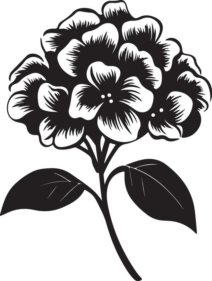 Hortensie Blume Silhouette Vektor Illustration Weiß Hintergrund