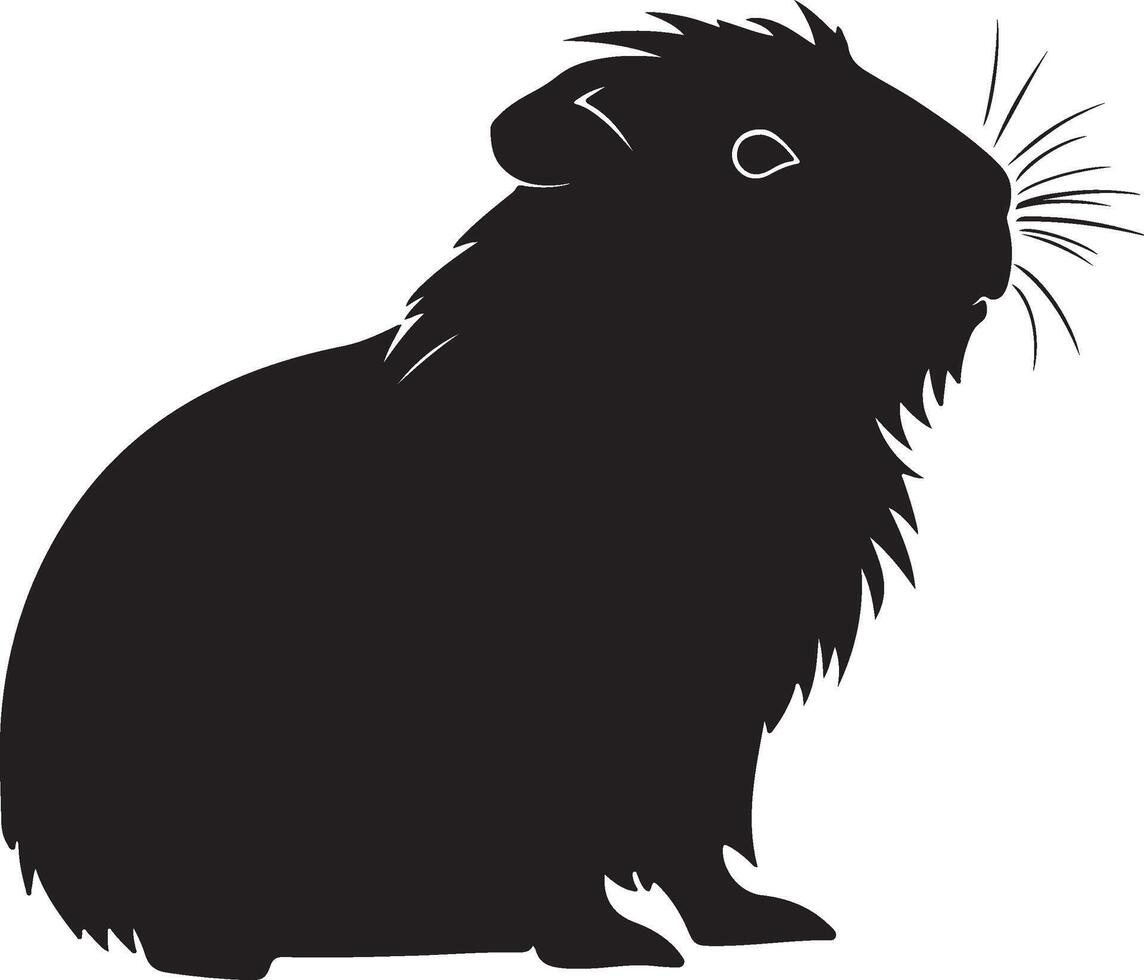 Guinea Schwein Silhouette Vektor Illustration Weiß Hintergrund