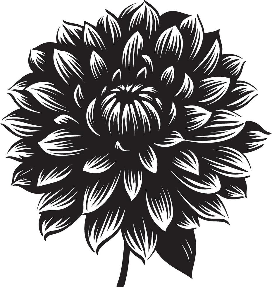 Dahlie Blume Silhouette Vektor Illustration Weiß Hintergrund