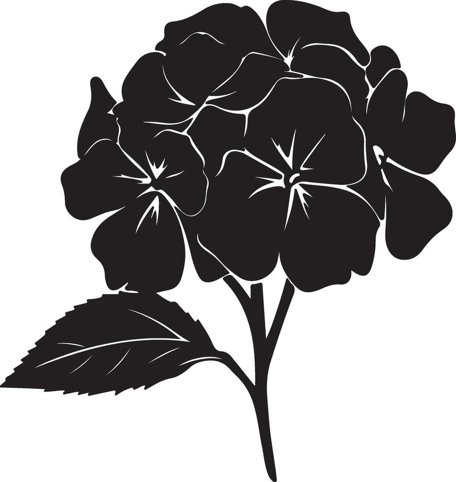 Hortensie Blume Silhouette Vektor Illustration Weiß Hintergrund