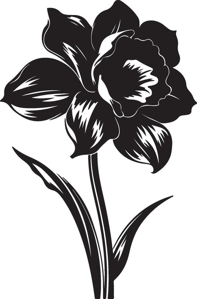 Narzisse Blume Silhouette Vektor Illustration Weiß Hintergrund