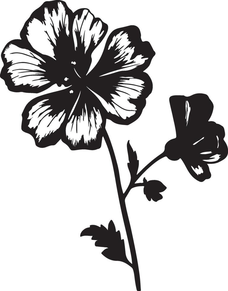 geranium blomma silhuett vektor illustration vit bakgrund
