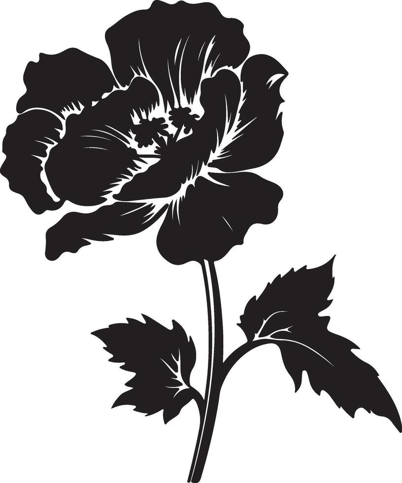 Begonie Blume Silhouette Vektor Illustration Weiß Hintergrund