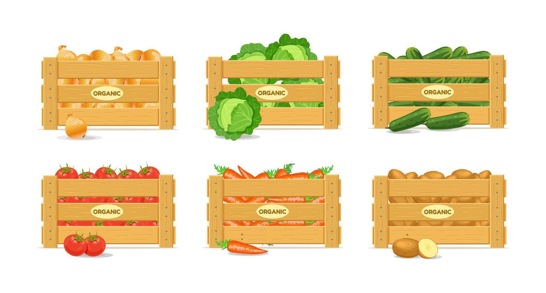 Kisten mit Gemüse. Möhren, Kartoffeln, Tomaten, Gurken, Zwiebeln, Kohl. Vektor Illustration