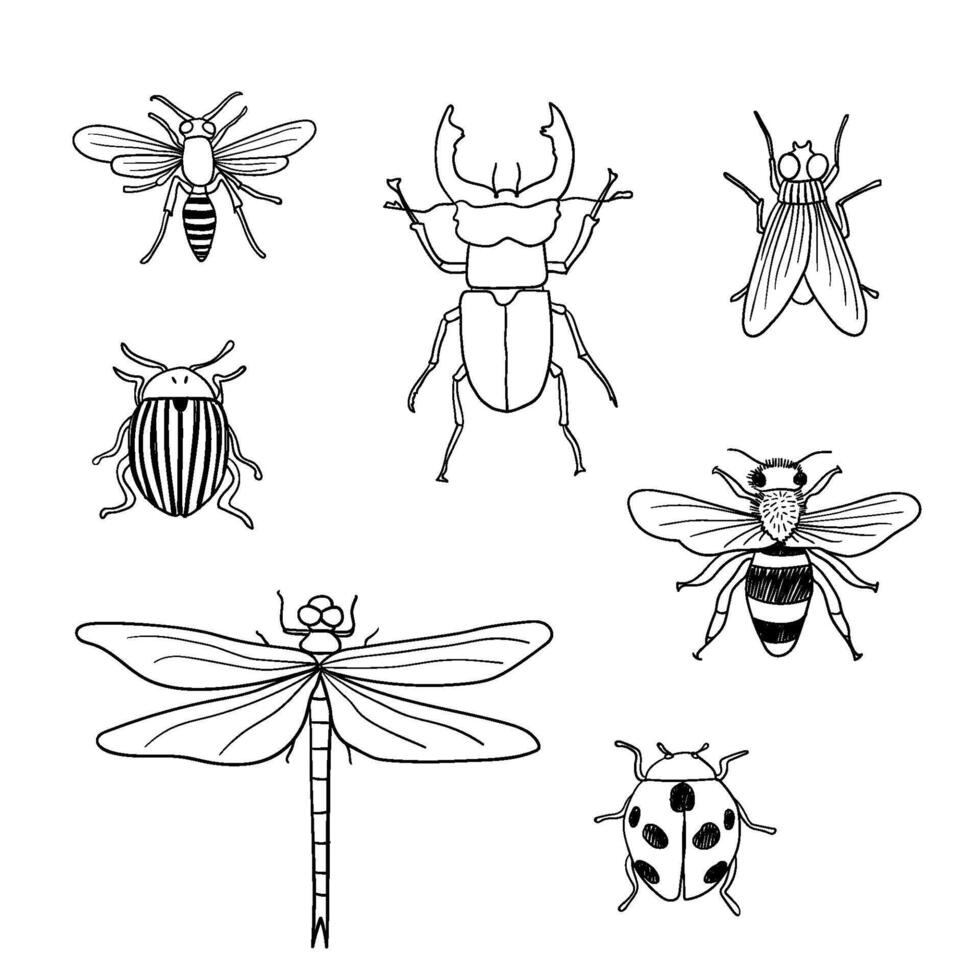 annorlunda hand dragen klotter isolerat insekter. vektor illustration