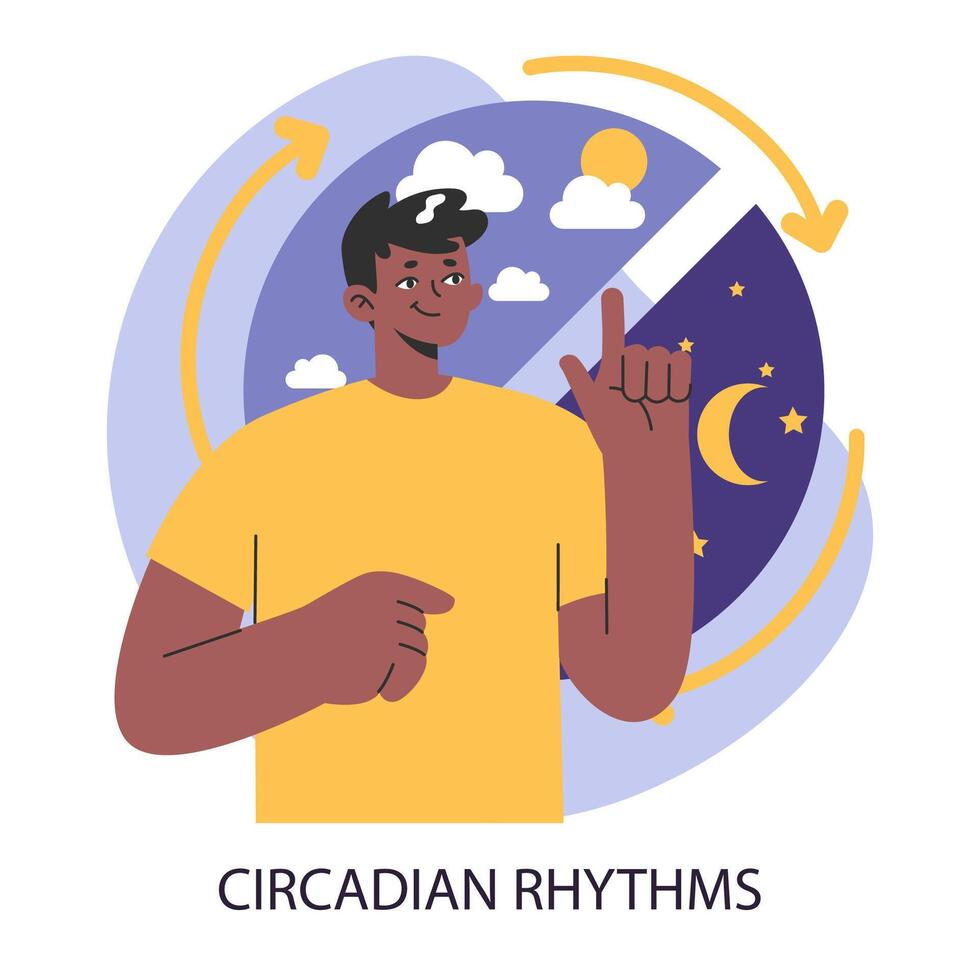 circadian Rhythmus. Mann bedeutet das Balance von Tag und Nacht Zeit, Wachsamkeit vektor