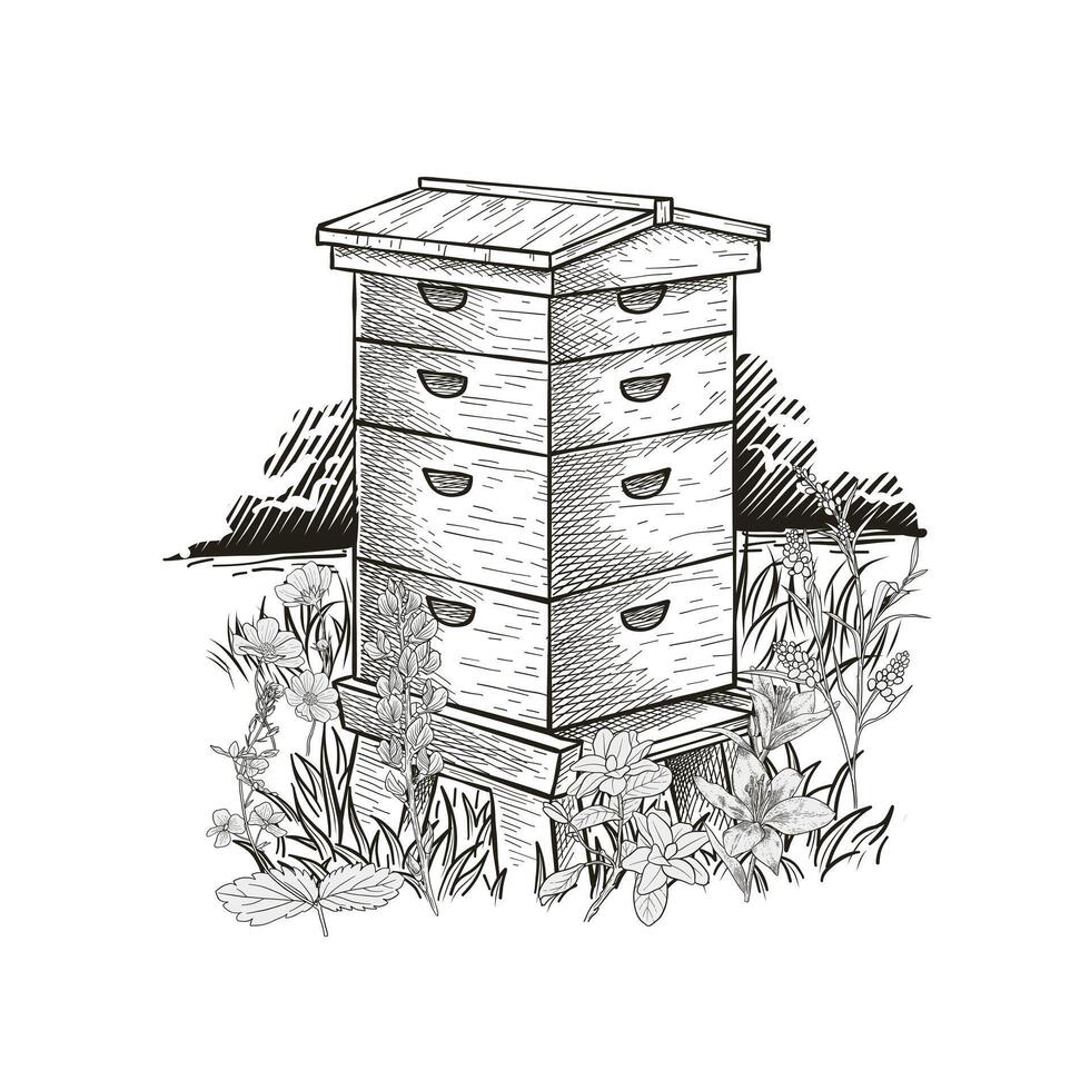 Hand gezeichnet hölzern Bienenstock Vektor Illustration