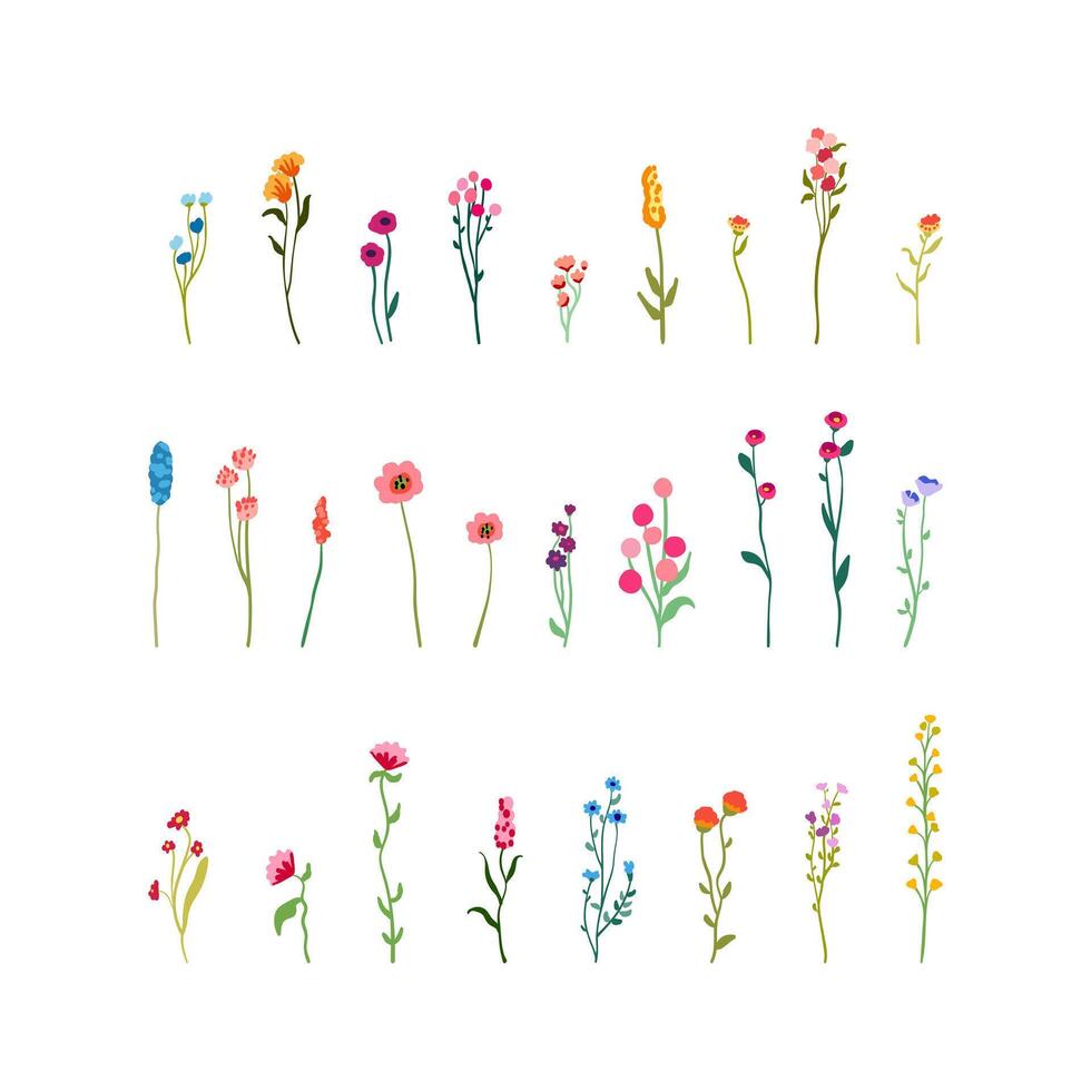 delikat blommor och stjälkar. stor uppsättning botaniska element. vildblommor, örter med lövverk. samling trädgård och vild lövverk och grenar. illustration isolerat vektor