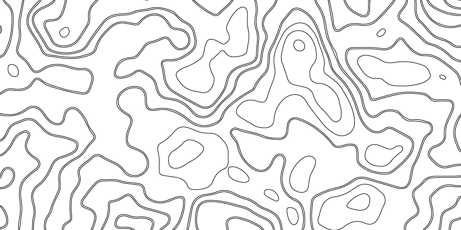 bakgrund av de topografisk Karta. topografisk Karta rader, kontur bakgrund. svart och vit abstrakt bakgrund vektor