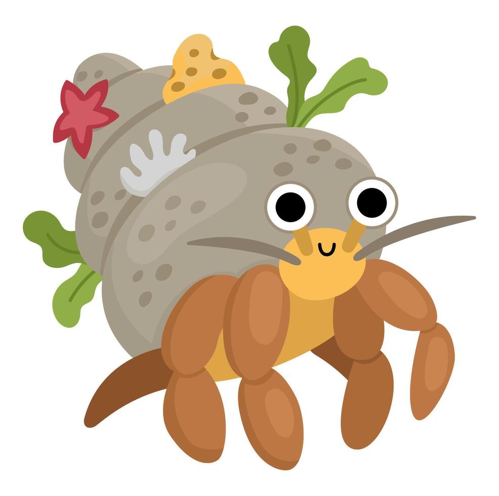 Vektor Einsiedler Krabbe mit Schale Symbol. unter das Meer Illustration mit süß komisch Ozean Tier. Karikatur unter Wasser oder Marine Clip Art zum Kinder isoliert auf Weiß Hintergrund