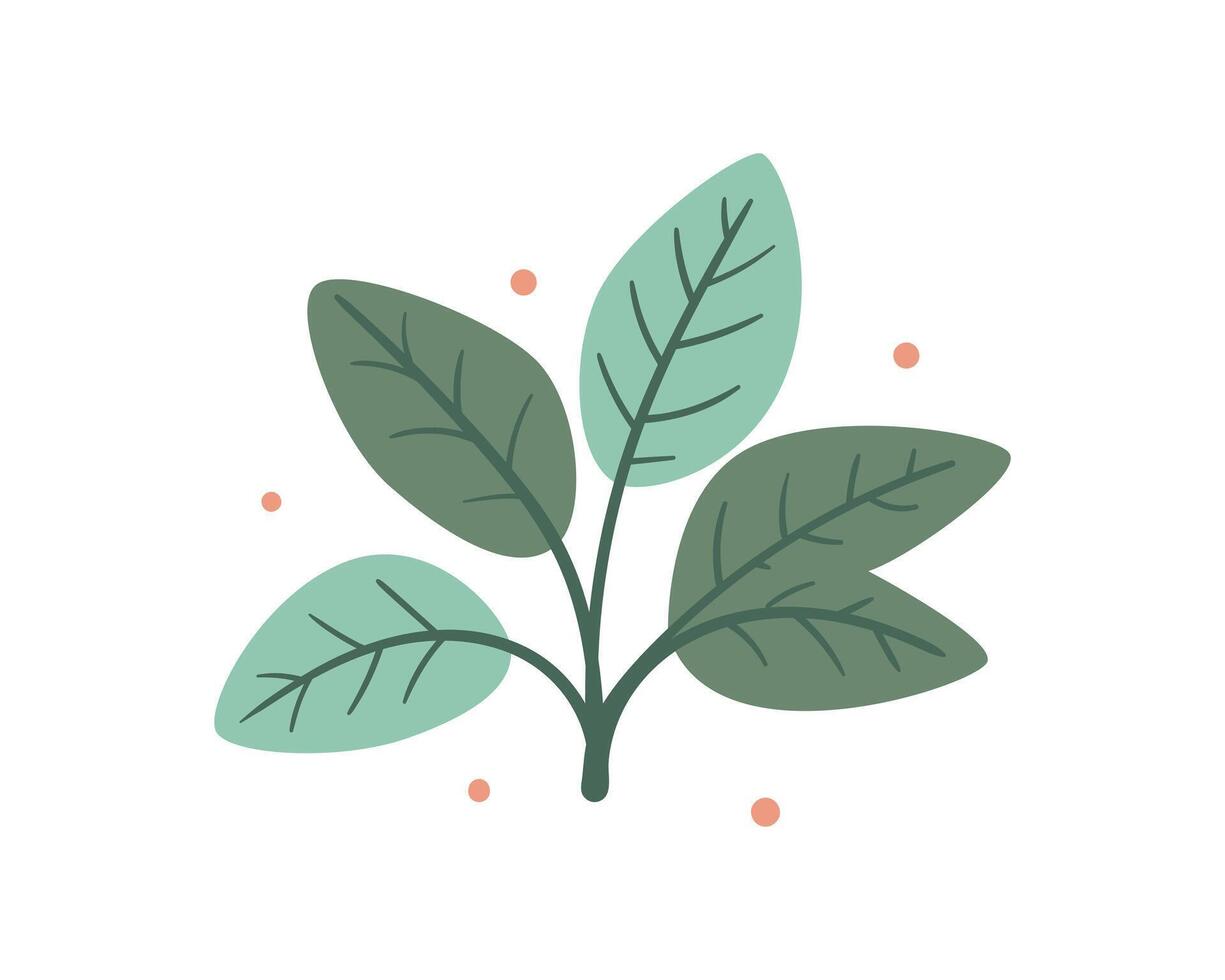 gro med blad vektor ikon. växt symbol av natur och miljö.