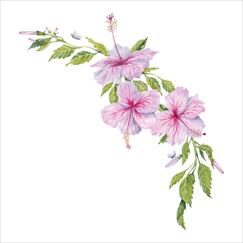 Aquarell Rosa Hibiskus Blumen mit Grün Blätter rahmen. Hand gemalt Blumen- Komposition isoliert auf Weiß Hintergrund. Hibiskus Tee, Sirup, Kosmetika, Schönheit, Mode Drucke, Entwürfe, Karten, Grenzen vektor