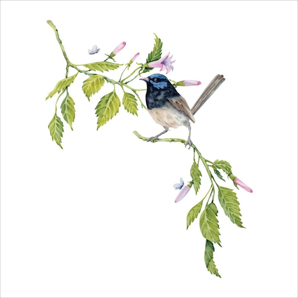 Aquarell Komposition mit ein Fee Zaunkönig Vogel auf Grün Ast. Hand gemalt Element isoliert auf Weiß Hintergrund. Blumen- Hibiskus Tee, Sirup, Kosmetika, Schönheit, Mode Drucke, Designs vektor