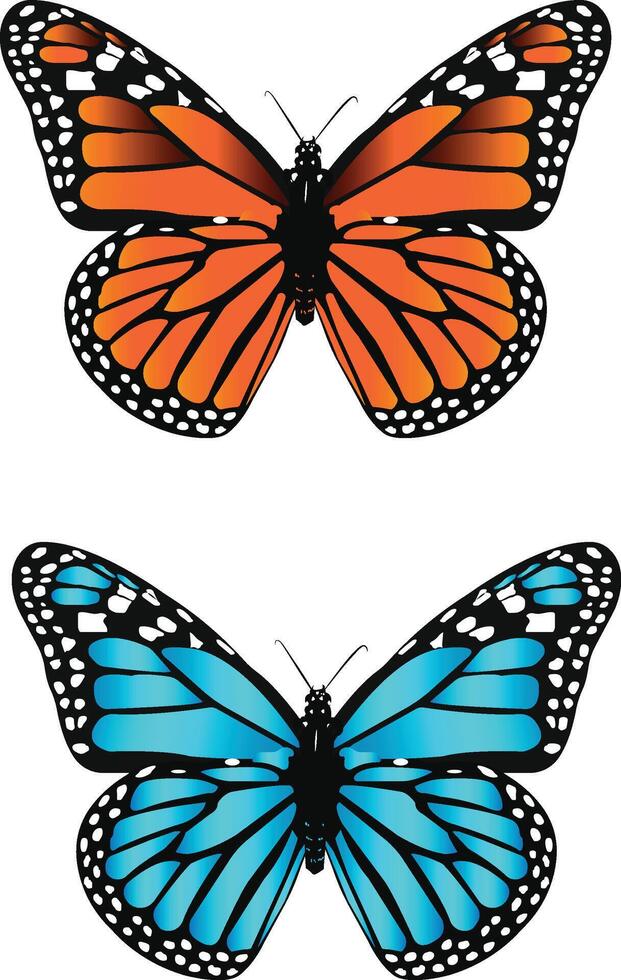Schönheit Schmetterling Insekt Symbol vektor