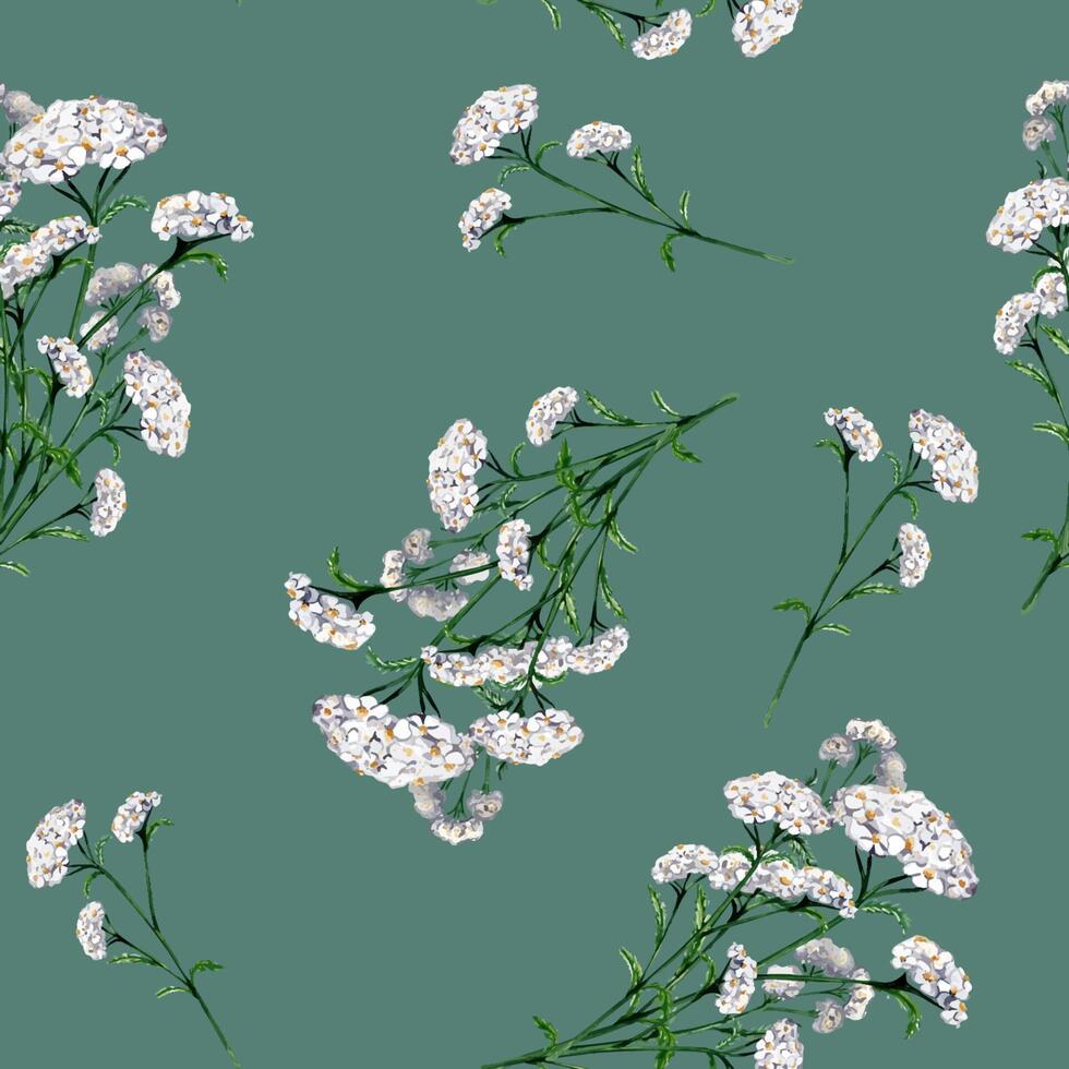 achillea millefolium medicinsk växt vattenfärg sömlös mönster isolerat på blå bakgrund. rölleka vit blomma målad. användbar ört rölleka hand ritade. design för textil, paket, tyg vektor