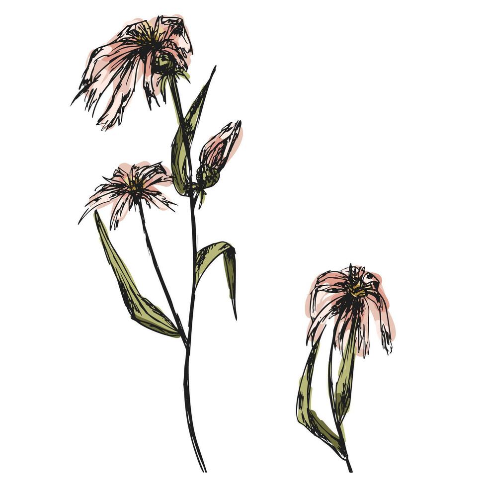 hand dragen grov skiss vild blomma, blommig illustration vektor