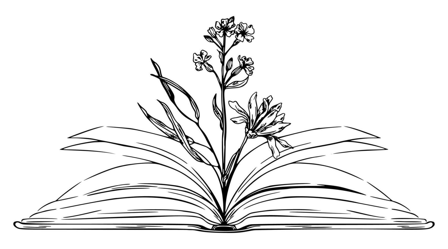 öppen bok med blommor inuti, hand dragen skiss illustration vektor