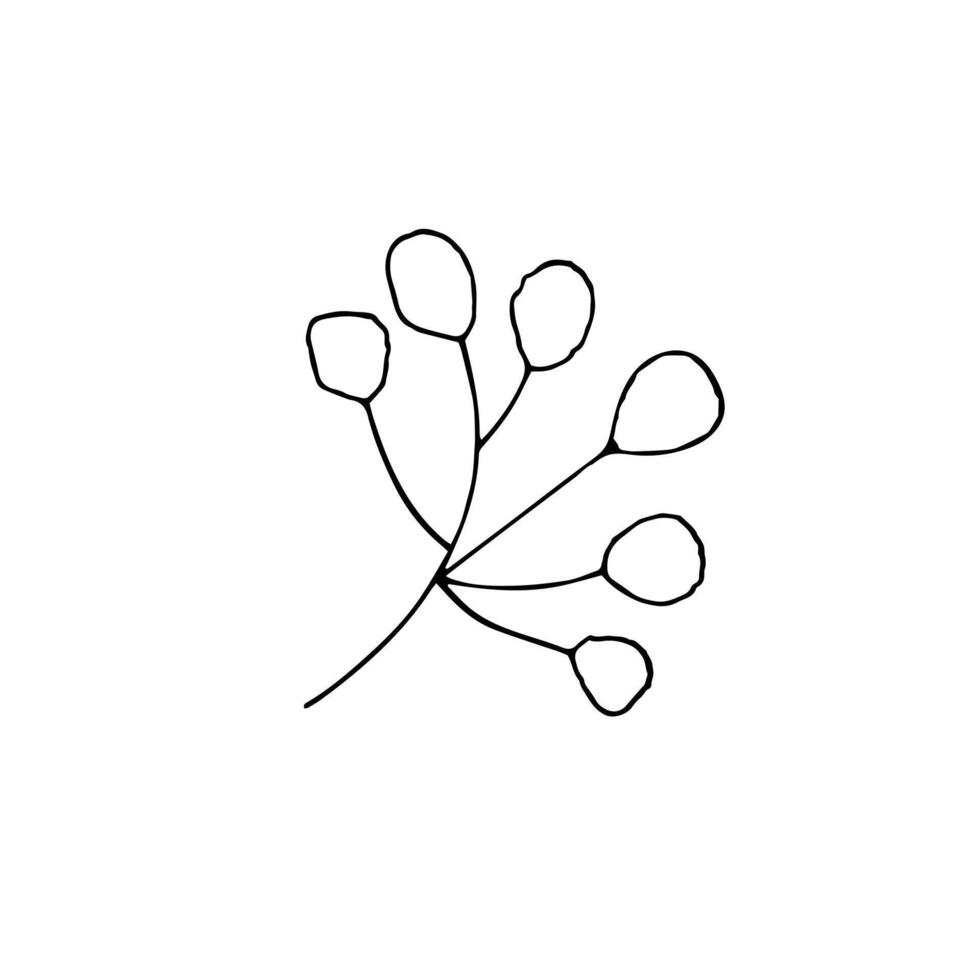 handgemalt Ast von ein Blume. Doodle-Stil minimalistisch botanisch Illustration. isoliert auf Weiß. vektor