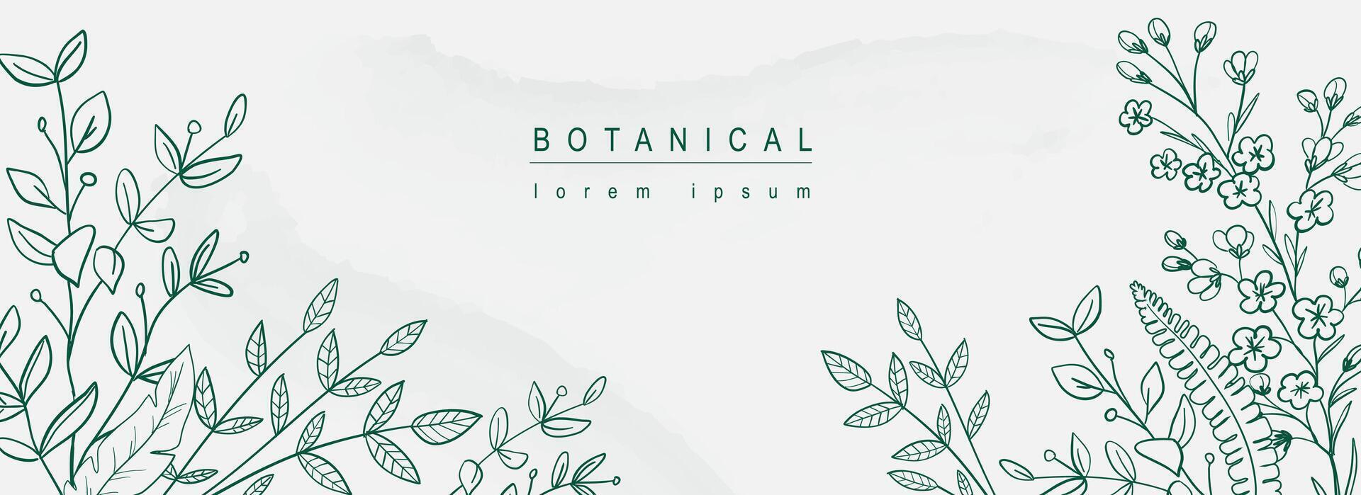 botanisk abstrakt bakgrund med blommig linje konst design. horisontell webb baner i minimal stil med hand dragen löv, växter, blomning blommor, annorlunda kvistar och grenar. vektor illustration.