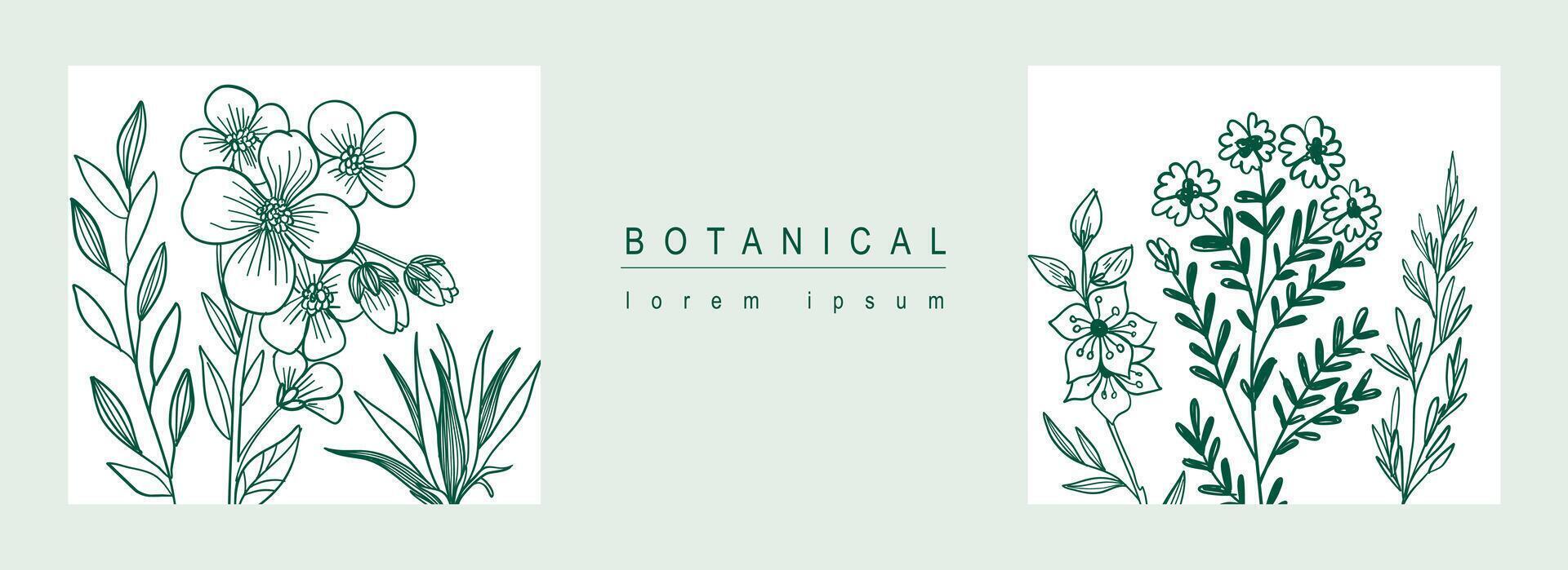 botanisch abstrakt Hintergrund mit Blumen- Linie Kunst Design. horizontal Netz Banner im minimal Stil mit Blumen und Wildblumen Blüten, Kräuter und Grün Blätter im Platz setzt. Vektor Illustration.