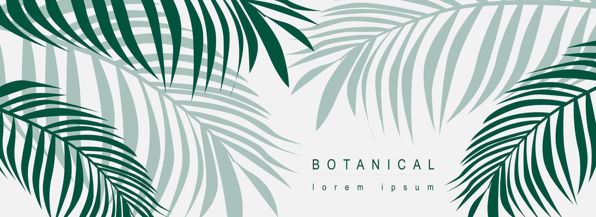 botanisch abstrakt Hintergrund mit Blumen- Linie Kunst Design. horizontal Netz Banner im minimal Stil mit Grün Blätter von Palme Bäume, tropisch Pflanze Laub mit Silhouette Konturen. Vektor Illustration.