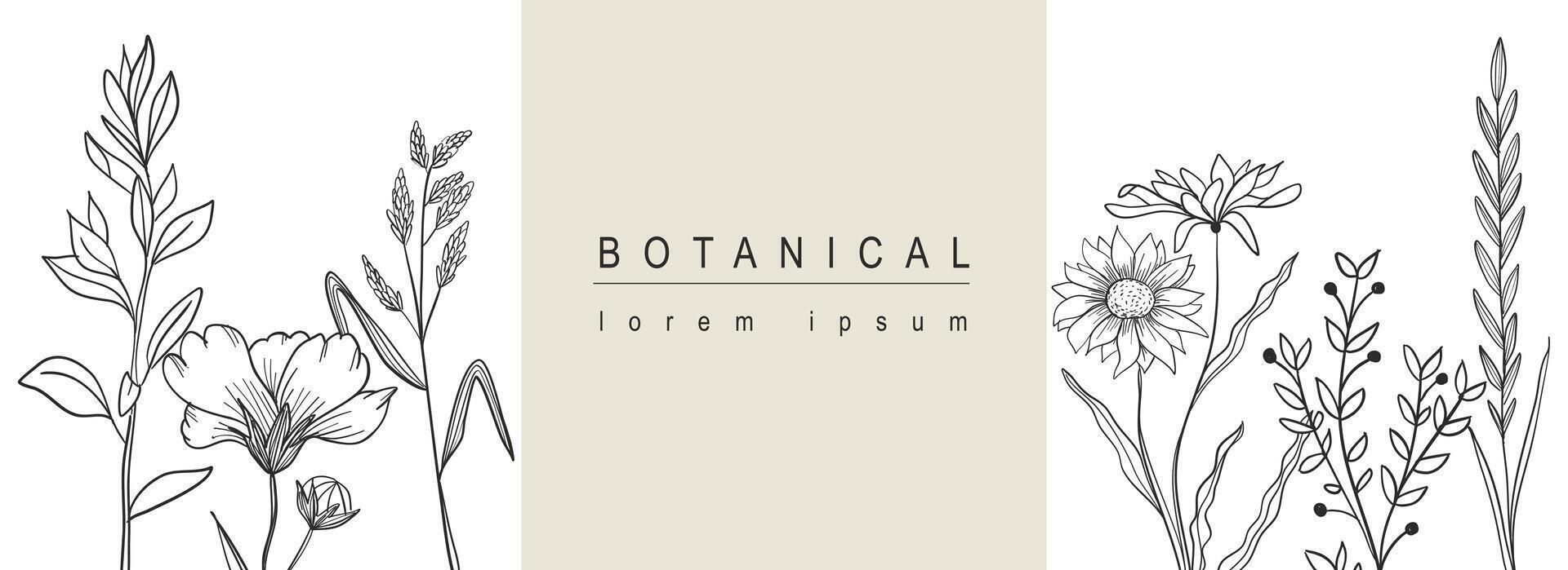 botanisk abstrakt bakgrund med blommig linje konst design. horisontell webb baner med minimal hand dragen sammansättning av annorlunda blommor, kvistar med löv och lövverk växter. vektor illustration.