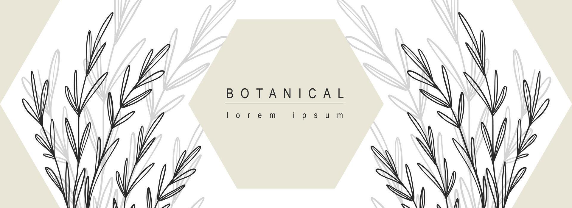 botanisk abstrakt bakgrund med blommig linje konst design. horisontell webb baner med sammansättning med geometrisk former och ört löv konturer och silhuett skugga på bakgrund. vektor illustration.