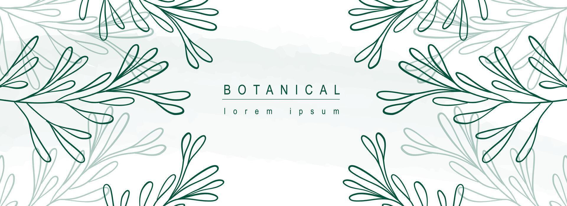 botanisch abstrakt Hintergrund mit Blumen- Linie Kunst Design. horizontal Netz Banner im minimal Stil mit Grün Blätter Konturen Rahmen Vorlage und Silhouette Schatten auf Hintergrund. Vektor Illustration.