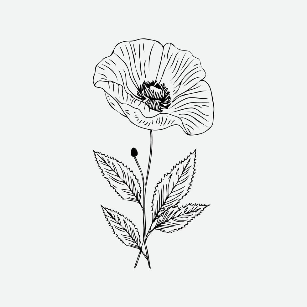 botanisch Zeichnung. minimal Pflanze Logo, botanisch Grafik skizzieren Zeichnung, Wiese Grün, Blatt und Blühen Blume abstrakt skizzieren Element Sammlung, rustikal Ast Vektor Illustration Linie Kunst