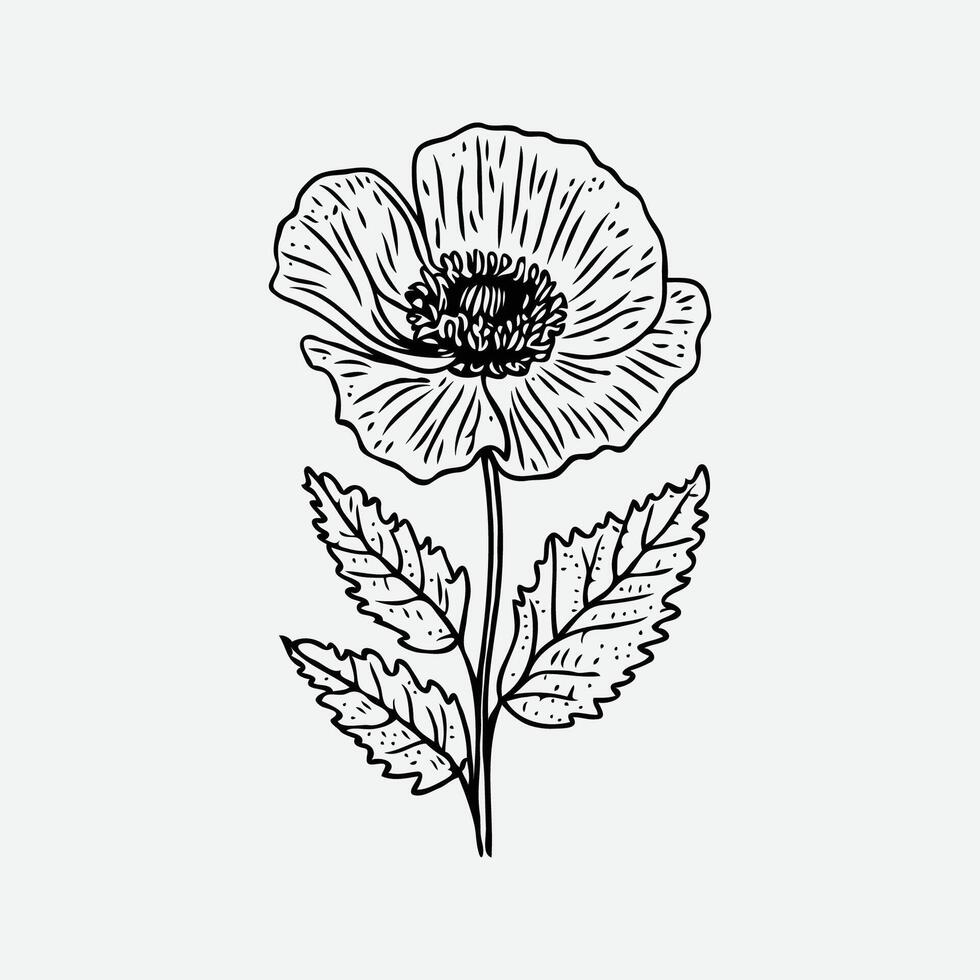 botanisch Zeichnung. minimal Pflanze Logo, botanisch Grafik skizzieren Zeichnung, Wiese Grün, Blatt und Blühen Blume abstrakt skizzieren Element Sammlung, rustikal Ast Vektor Illustration Linie Kunst
