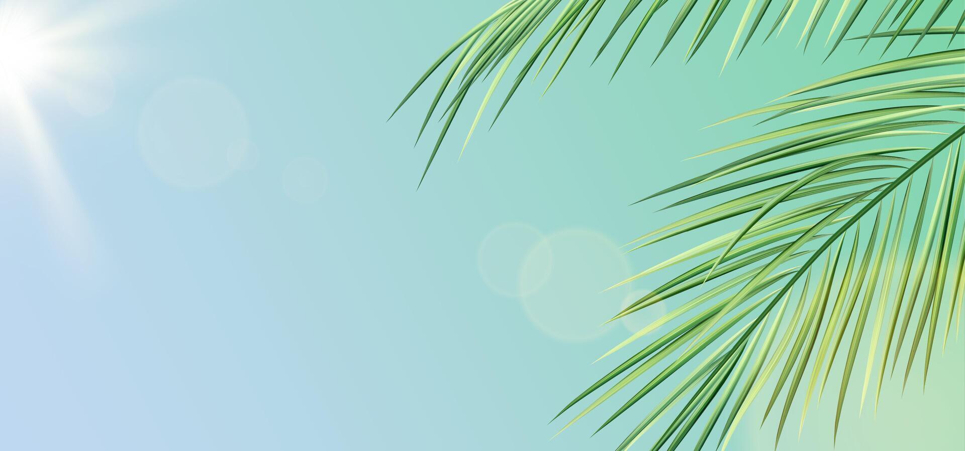 realistisch Palme Blätter gegen Himmel und Sonne. Sommer- tropisch Illustration von Grün exotisch Palme Baum Geäst. Vektor Vorlage zum Hintergrund, Hintergrund