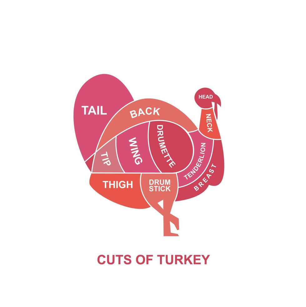 Vektor Illustration leiten Fleisch schneidet Satz. Truthahn Metzger Poster Diagramme und Schema.