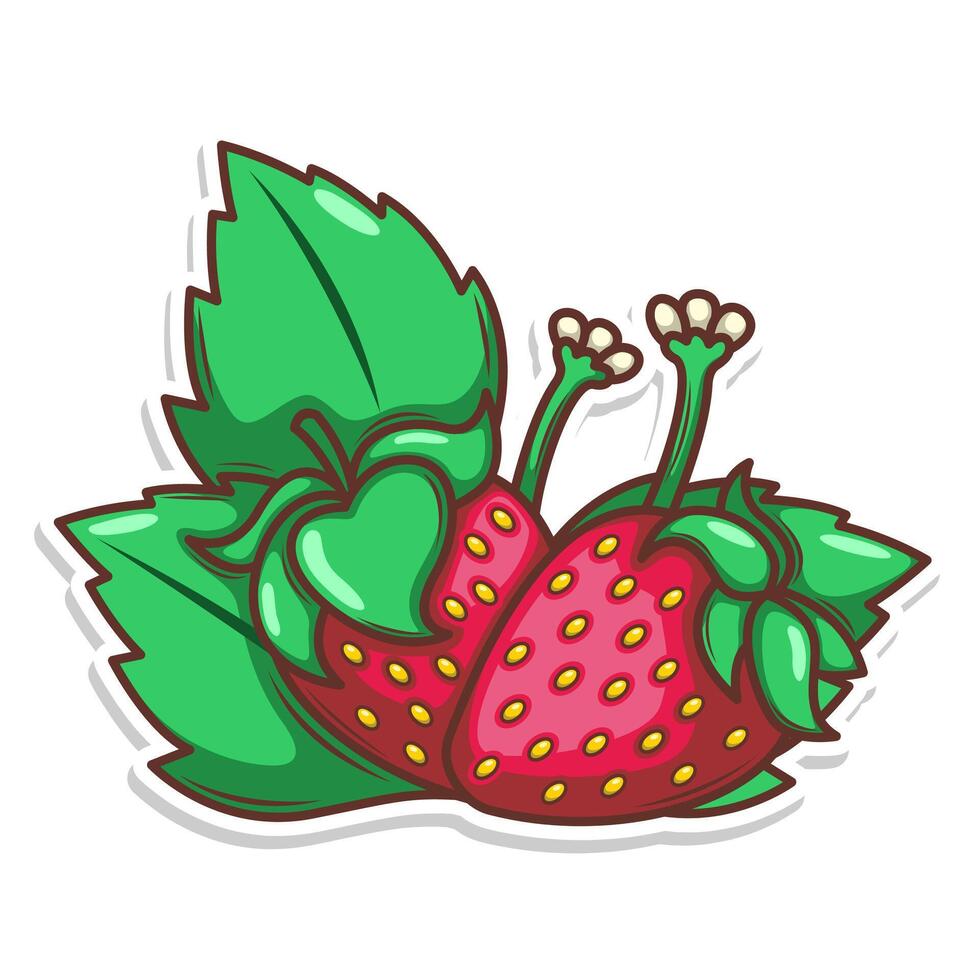 hand dra jordgubb frukt illustration konst vektor
