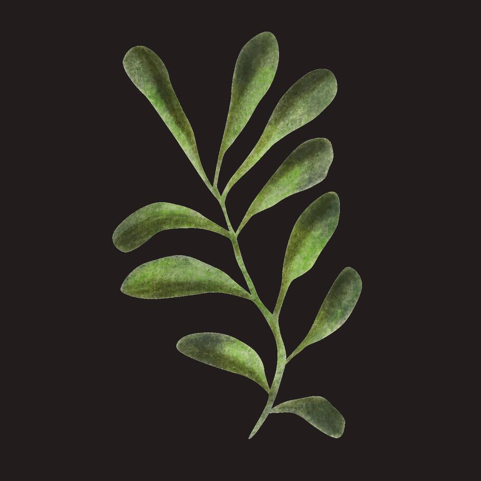 grön kvist. vattenfärg illustration. isolerat objekt vektor