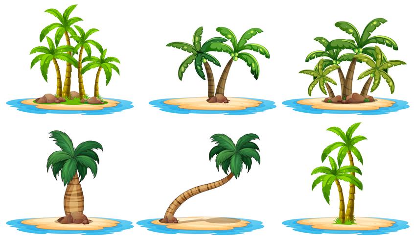 Inseln und Palme vektor