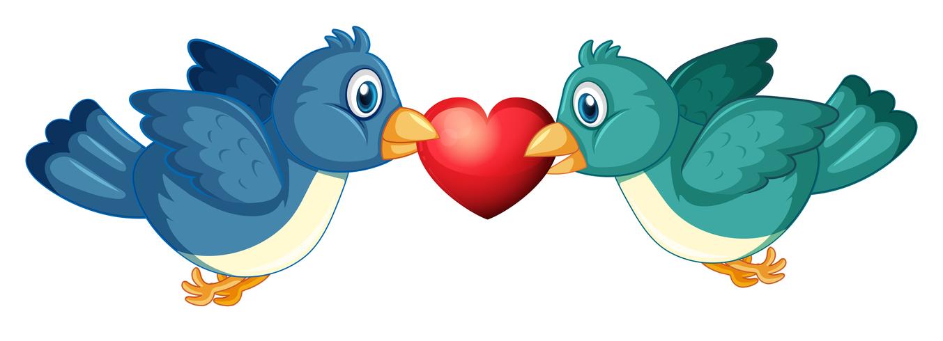 Två blå fåglar och hjärta vektor