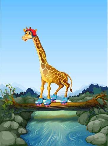 Giraffe, die Rollschuh in der Natur spielt vektor